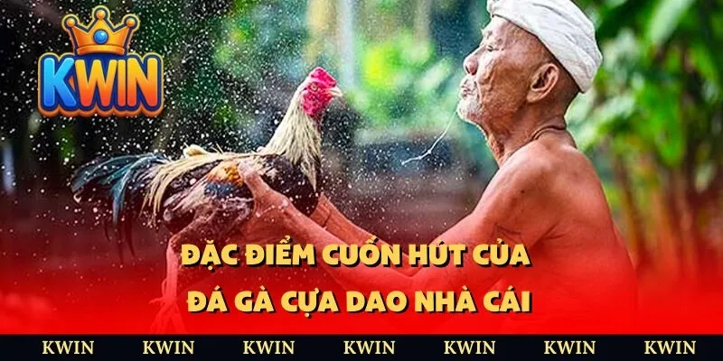 Đặc điểm cuốn hút của đá gà cựa dao nhà cái