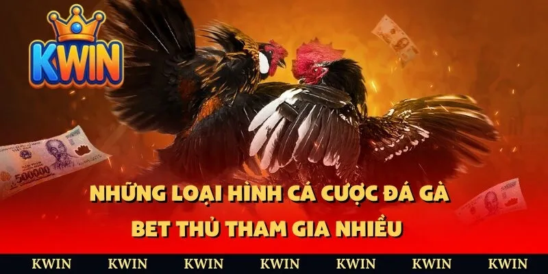 Những loại hình cá cược đá gà bet thủ tham gia nhiều
